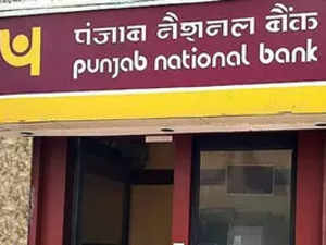 PNB official allegedly embezzles nearly Rs 5 Crore from Bhopal-based infrastructure company: CBI FIR:Image