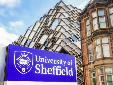 University of Sheffield