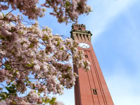 University of Birmingham