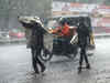 Rain batters Hyderabad, Tamil Nadu, IPL match abandoned: See pics