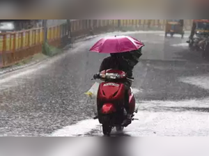 A heavy monsoon season is great news for these Indian stocks:Image