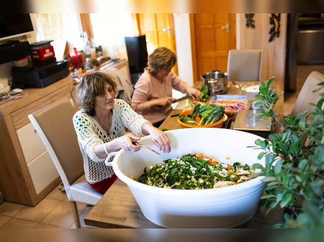 The Wider Image: Sustainable living offers hope for future for Hungarian families