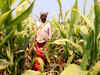 Centre to evaluate PM KISAN scheme to assess its impact on farmers