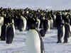Key Antarctica meetings begin in Kochi on May 20 under shadow of Ukraine conflict