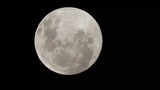 Flower Moon 2024: When and where to witness the spectacle this week? Best viewing time