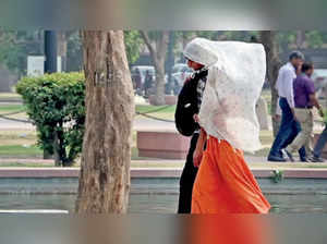 Delhi Heatwave: National Capital on 'red alert' after temperature rises 44.4 deg C:Image