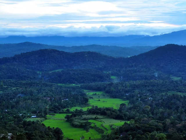 Coorg (242 km)