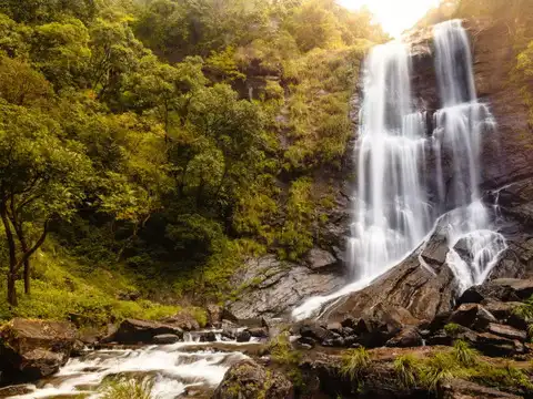 Chikmagalur (242 km)