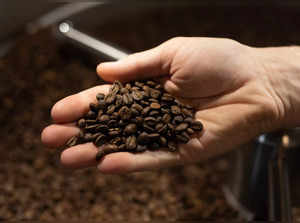 Robusta coffee rises most since 2010 on Vietnam rain concerns:Image