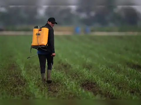 Madras Fertilizers