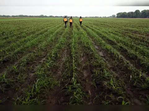 GNFC