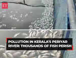 Kerala: Large number of dead fish seen floating in Periyar River; farmers blame pollution control officials