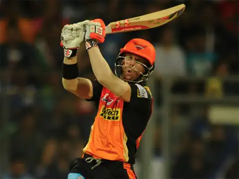 David Warner - Year 2015