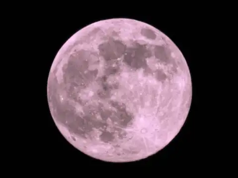 Which zodiac sign is May's Flower Moon