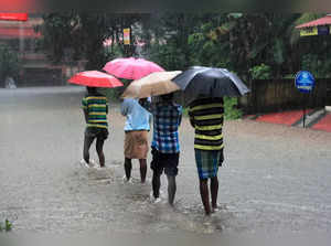 Heavy rains lash Kerala, IMD issues red alert in two districts:Image