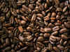 India's coffee exports rise 12% to $1.28 billion in 2023-24
