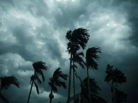 Wind speed