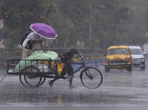 Air, rail, road traffic hit in Bengal ahead of cyclone Remal's landfall:Image