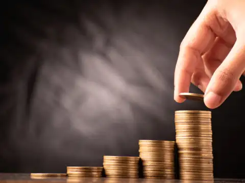 Want to invest in tax-saving FD? List of top tax-saving FD rates