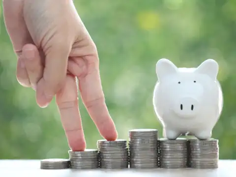 Highest interest on tax-saving FDs