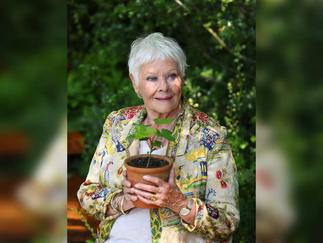 British actress Dench poses with a seedling from the Sycamore Gap tree on first day of Chelsea Flower Show, in London