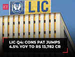 LIC Q4 Results: Cons PAT jumps 4.5% YoY to Rs 13,782 cr