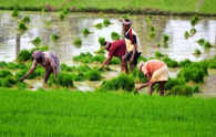 A section of WTO nations question India's farm input subsidies