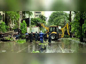 Cyclone Remal claims six lives in West Bengal:Image