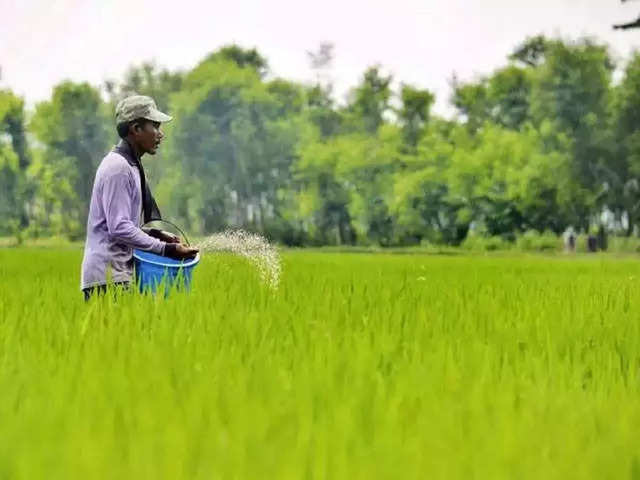 Gujarat State Fertilizers & Chemicals?
