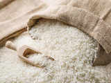 Basmati rice export prices plummet below government MEP, global buyers stay away