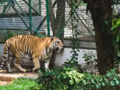 Nandankanan Zoological Park
