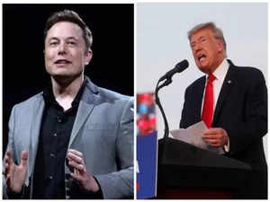 Headline: Elon eyes White House role! Donald Trump may make Musk an advisor; both speak several times a month, says report