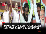 Tamil Nadu Exit Polls 2024: BJP may spring a surprise; DMK ahead overall | Lok Sabha Elections