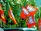 bjps-alliance-strategy-where-it-is-gaining-and-where-it-is-not