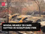 Noida: Nearly 35 cars gutted in scrapyard fire, informs CFO Pardeep Kumar