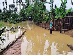 Assam floods: Death toll touches 14, over 13 districts affected
