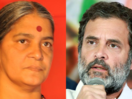 Wayanad Elections Result 2024: Rahul Gandhi vs Suresh Gopi vs Annie Raja, who is winning?