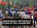 'West Bengal Police is B Team of TMC': BJP's Falguni Patra amid post-poll violence in Sandeshkhali