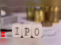 A dozen consumer companies line up IPOs amid a thriving stock market
