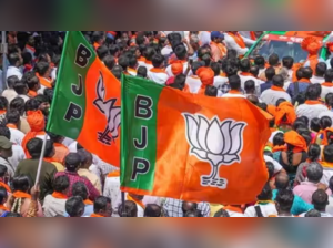 BJP scrambles for Chandrababu Naidu and Nitish Kumar's support after failing to get majority:Image