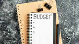 New govt likely to vote for populism in budget