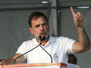 Wayanad doesn't disappoint Rahul Gandhi: Will Congress scion choose Kerala seat over Rae Bareli