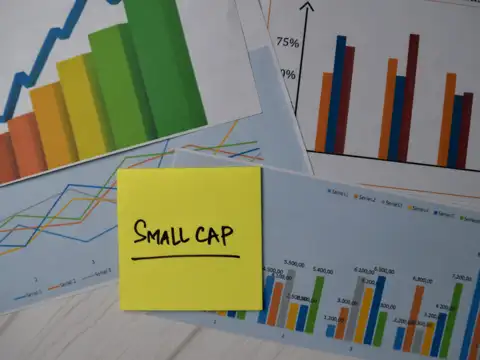 ​Smallcap