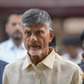 Chandrababu Naidu effect: Heritage Foods, KCP jump up to 40% in unbeaten rally. 7 more gain on Andhra connection