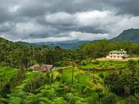 Munnar, Kerala