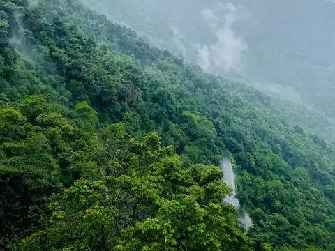 Wayanad, Kerala