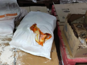 Food safety officials find violations at Blinkit warehouse near Hyderabad, share photos on social me:Image