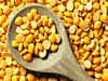 Stock disclosure rules for yellow peas tightened as importers refuse to sell