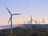 Adani to invest over $1 bn in Sri Lankan wind projects