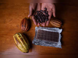Ivory Coast bans some cocoa sales in another threat to market:Image